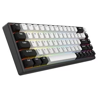 ARBITER Polar 65 Gaming Keyboard