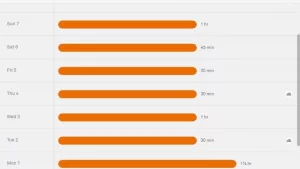 ecobee energy history