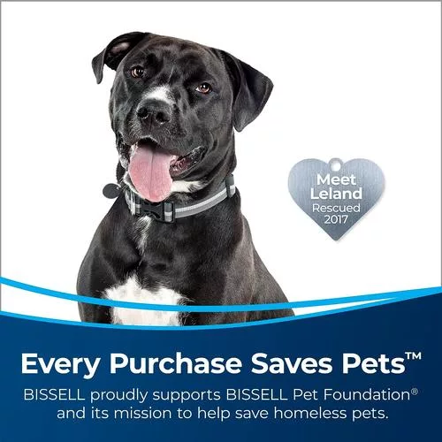 Specialized pet tools included with the Bissell 2998 vacuum