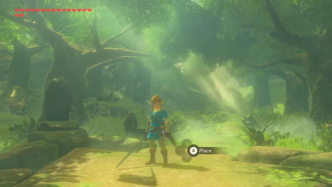 Breath of the Wild